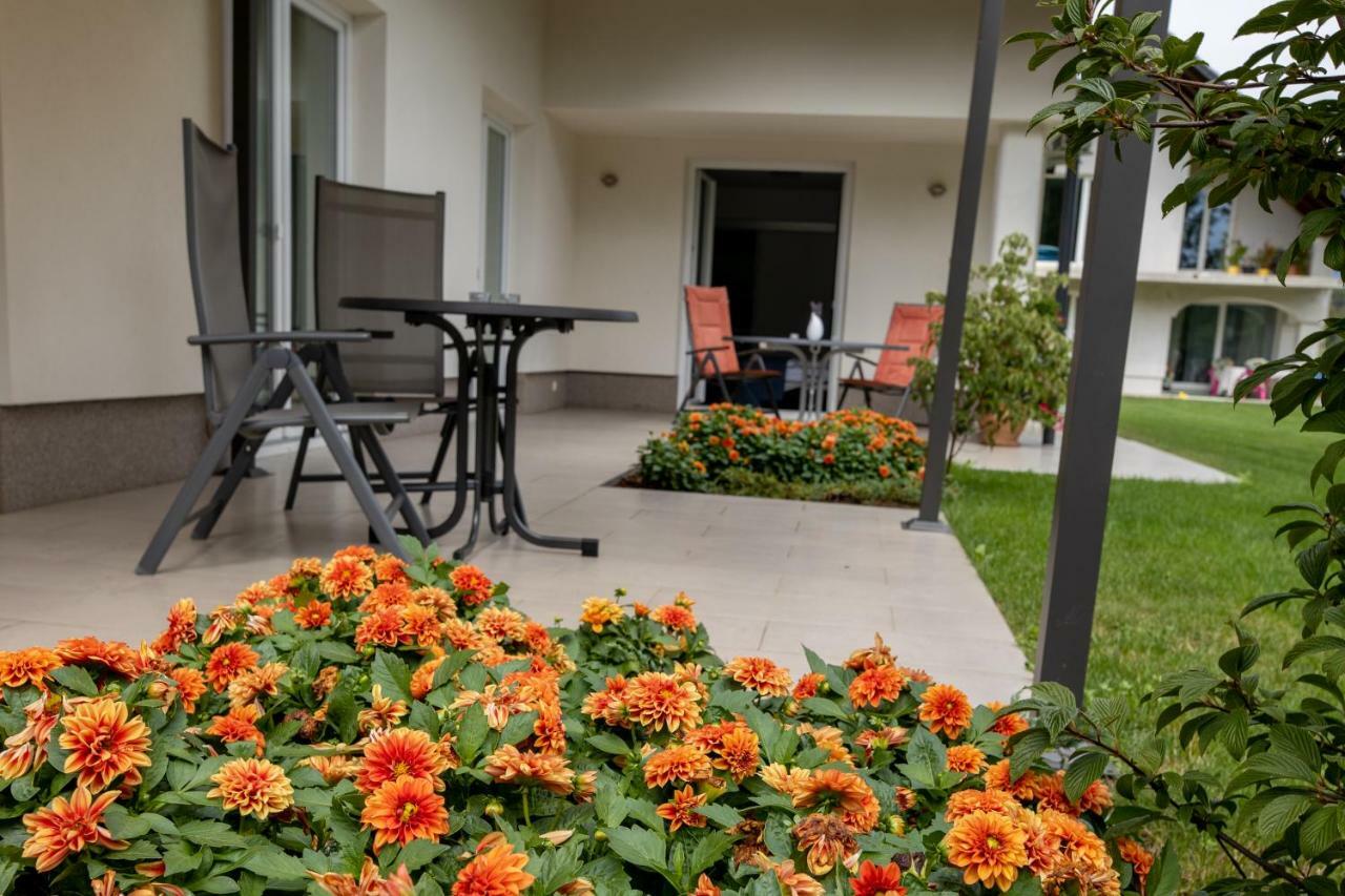 Sobe Meta Bed & Breakfast Brezje Dış mekan fotoğraf